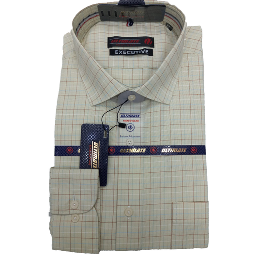 Check Dress Shirt